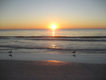 sunset